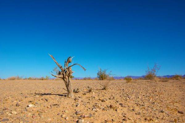 Tehnologie şi schimbări climatice, reţeta succesului financiar
